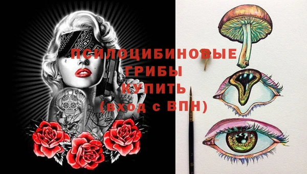 прущая мука Алзамай