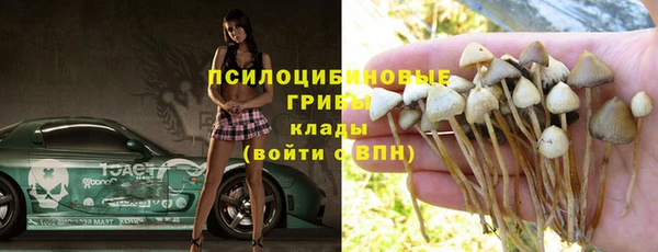 твердый Абинск