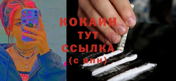 ПСИЛОЦИБИНОВЫЕ ГРИБЫ Абаза
